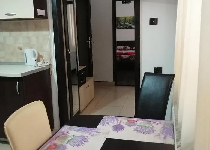 Old Center Apartment Brasov